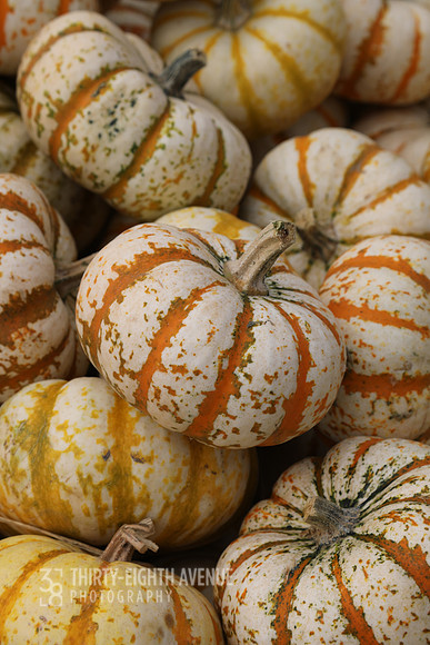 Pile of Orange Minis