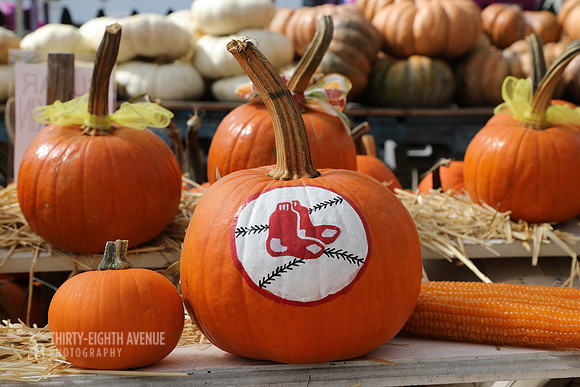 Red Sox Pumpkin