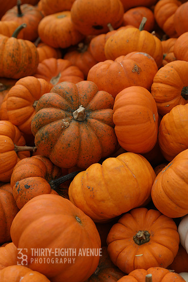 Crate of Orange