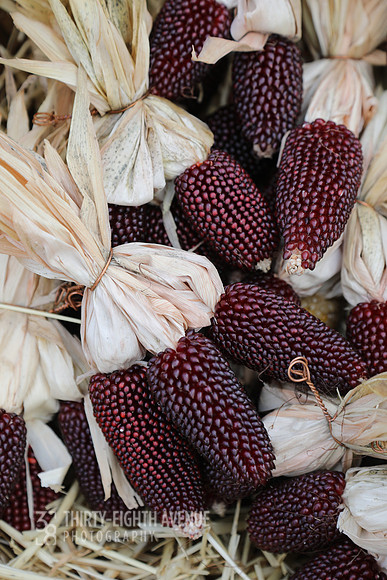 Native Corn Bundles