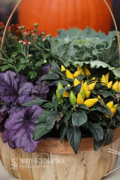Yellow Mini Pepper Basket