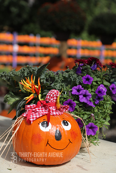 Pumpkin Face