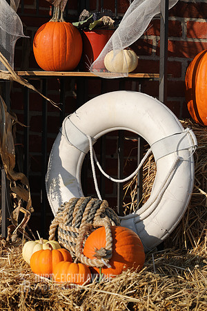 Autumn Lifesaver