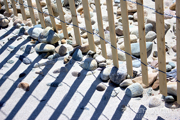 Fence Shadows