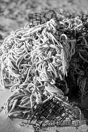 Washed Ashore