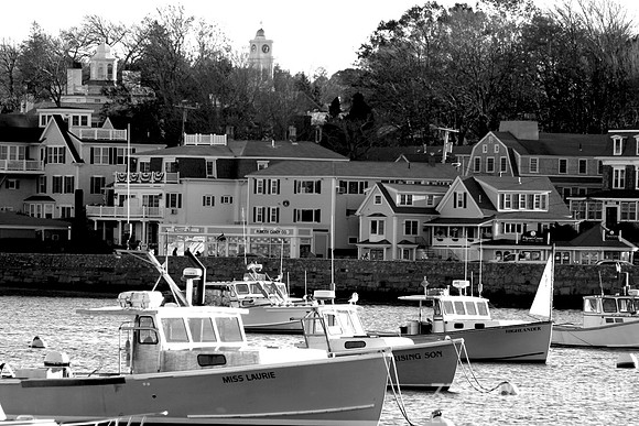 Harbor Fleet