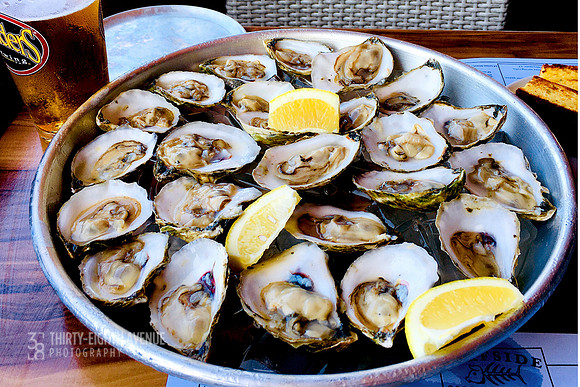 Oysters By The Dozen