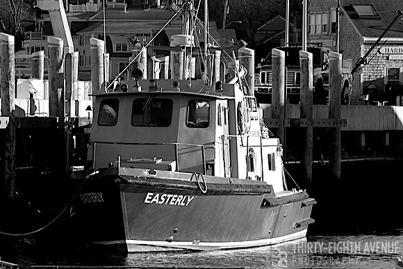 Easterly