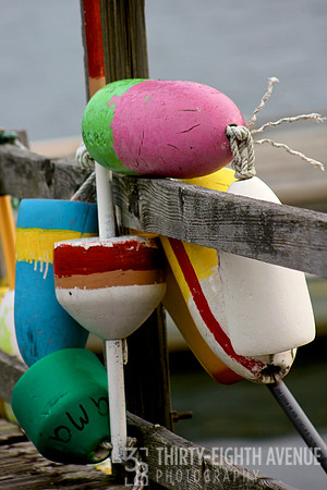 Vera Buoy
